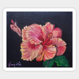 Pretty Orange Hibiscus Sticker